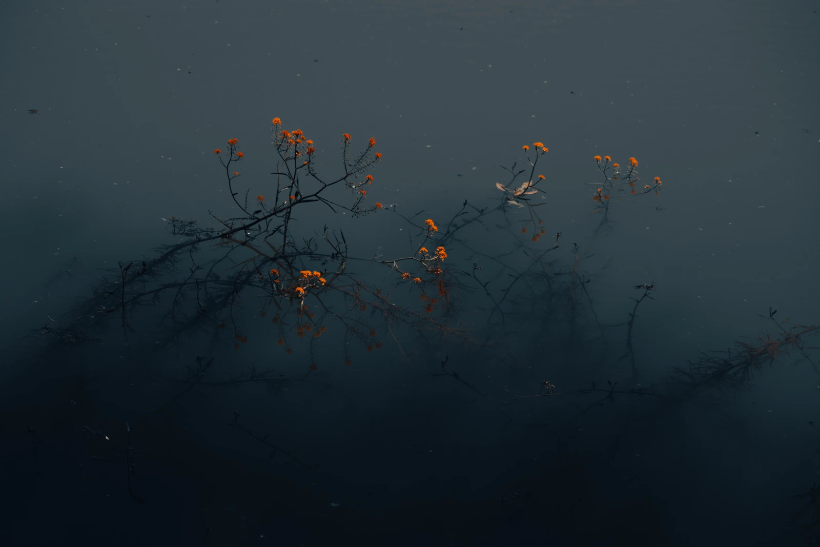 Underlight — album cover